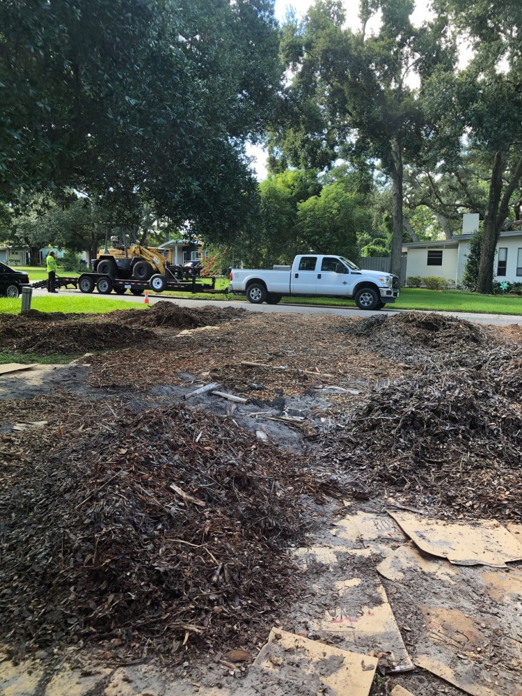 cardboard and wood chips in front